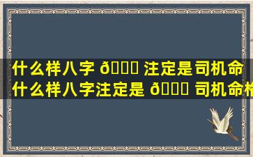 什么样八字 🐕 注定是司机命（什么样八字注定是 🐞 司机命格呢）